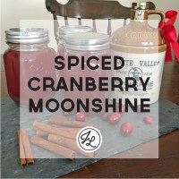 SpicedCranberryMoonshine